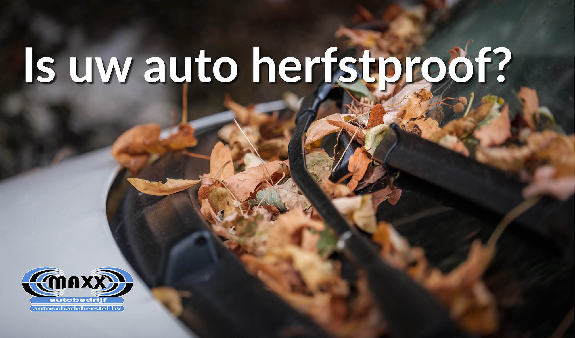 Maak uw auto herfstproof