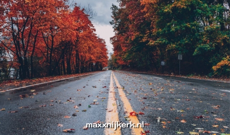 Het gevaar van herfstbladeren op de weg Het gevaar van herfstbladeren op de weg
